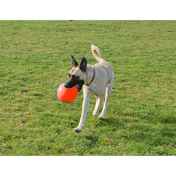 Jolly Pets Push-n-Play Ball Dog 4.5" Small Red Hard Plastic Toy For Dog - Picture 4 of 4
